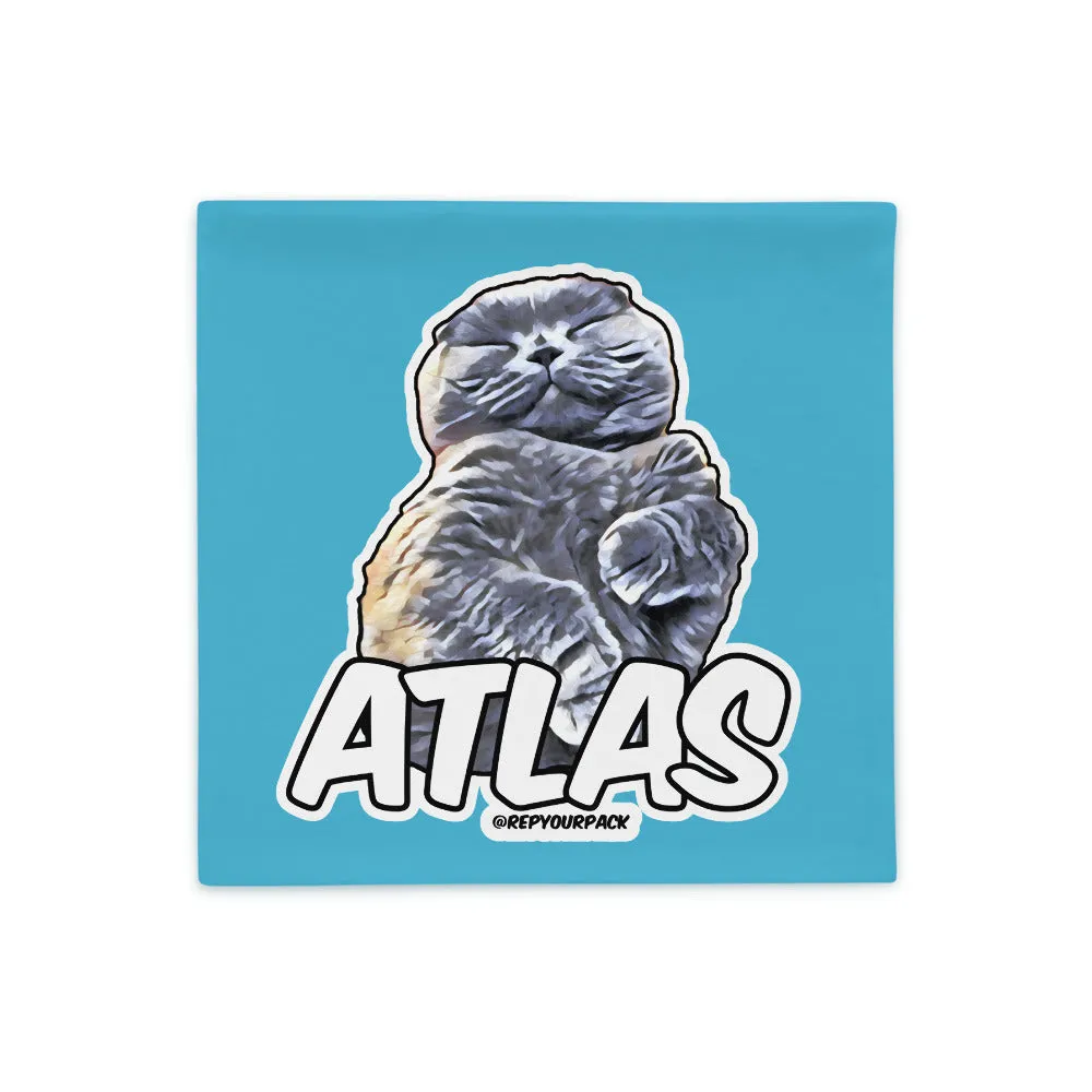 Atlas Cushion Case