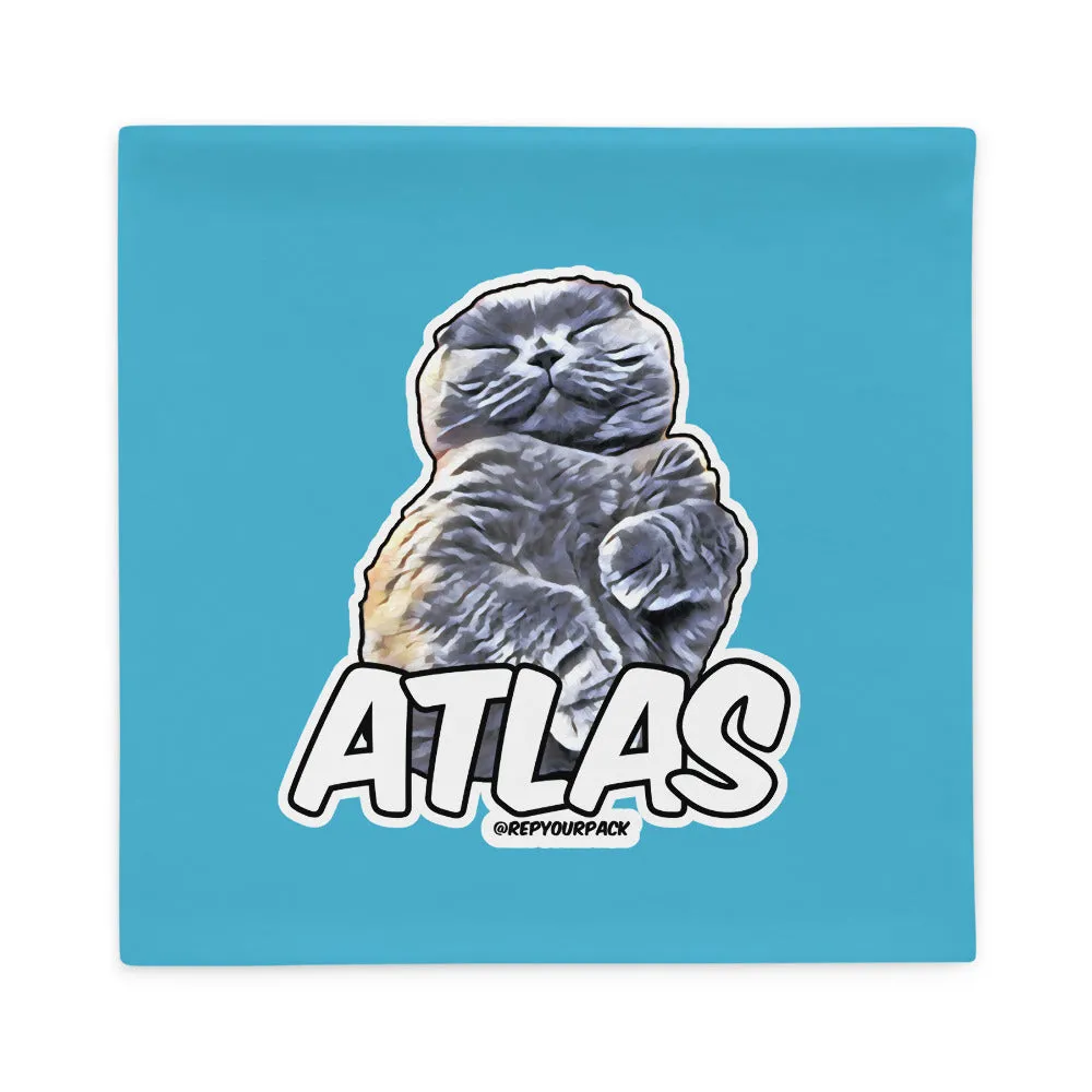 Atlas Cushion Case