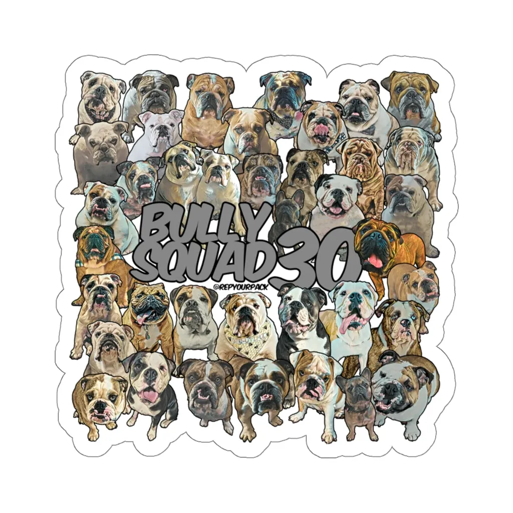 Bully Squad 30 Grey Sticker