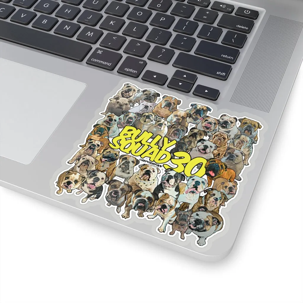 Bully Squad 30 YELLOW Sticker