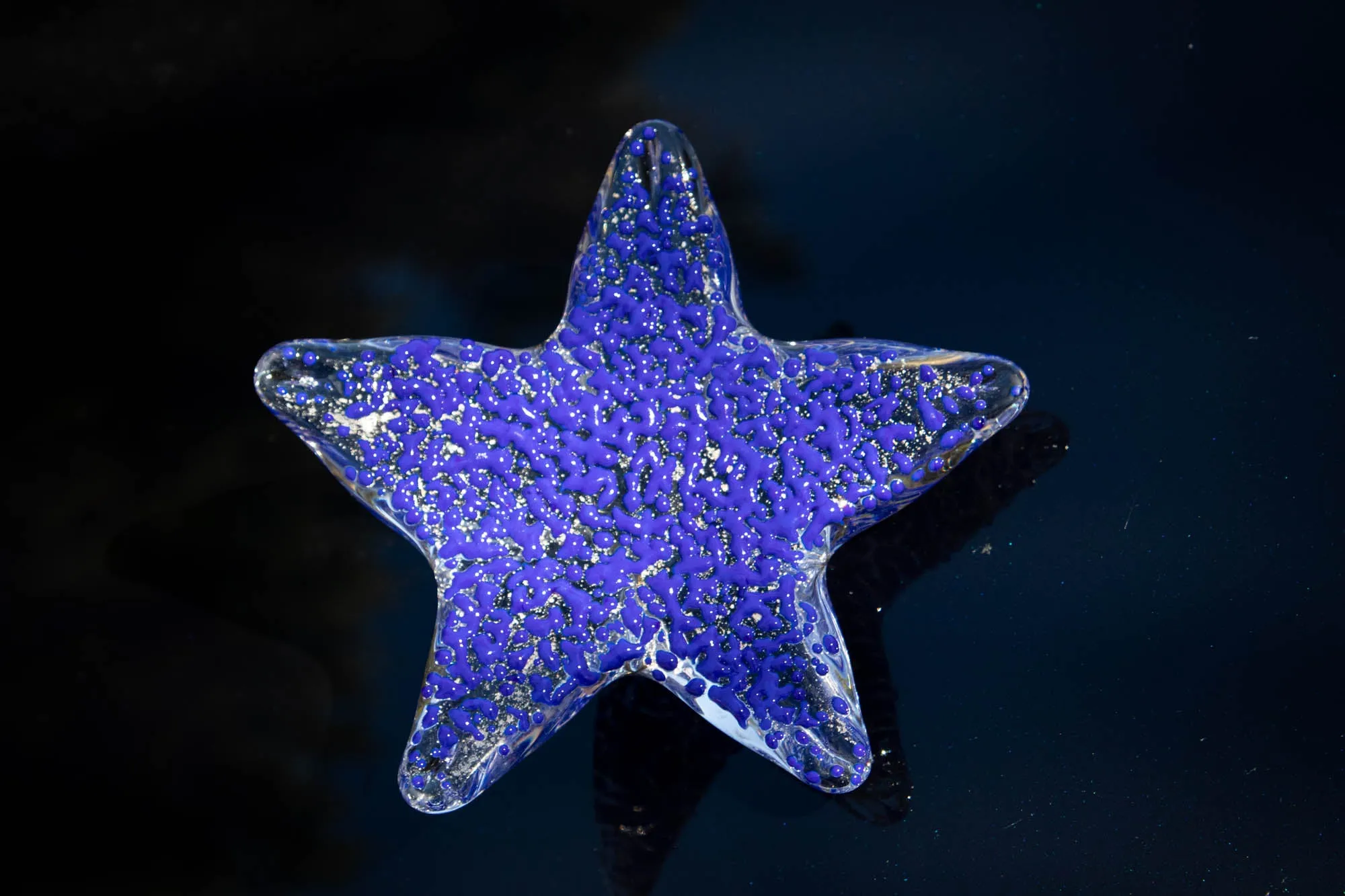 Large Starfish with Cremation Ash