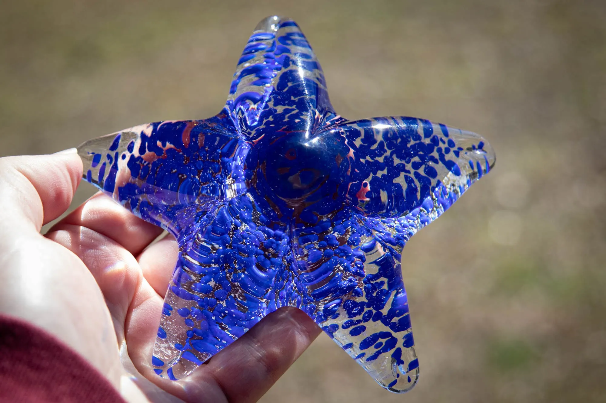 Large Starfish with Cremation Ash