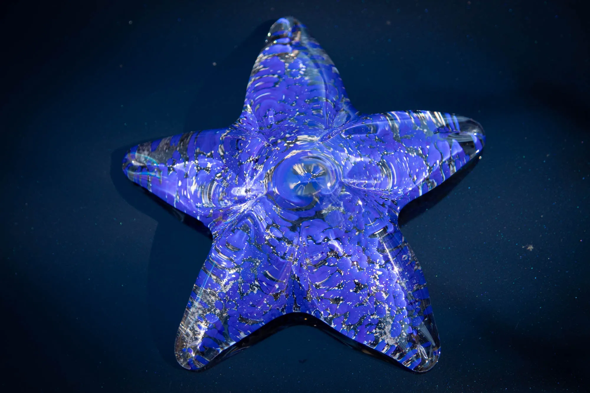 Large Starfish with Cremation Ash